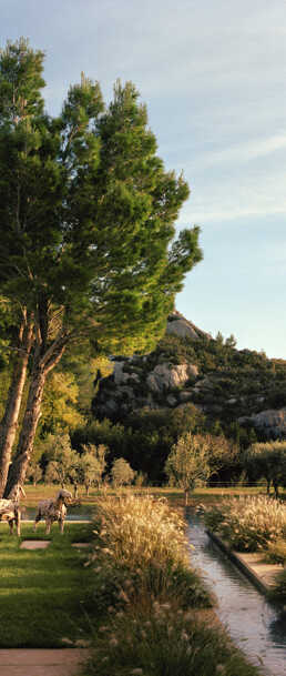 Customise it with a myriad of services