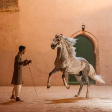 Marrakech luxe