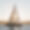 Les voiles Saint Tropez