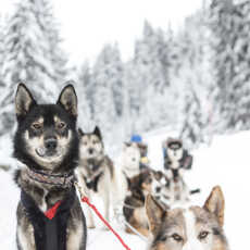 vacances ski luxe