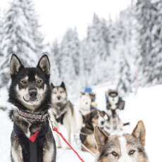 vacances ski luxe
