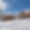 Chalet L'Or Blanc