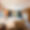 Appartement Cressa