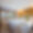 Chalet les Etrennes