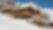 Chalet La Vigne