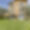 Domaine Lavande