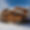 Chalet Delormes