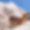 Chalet Rainer