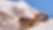 Chalet Rainer
