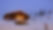 Chalet des Cimes