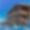 Chalet La Datcha 1850