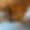 Chalet Maria Schnee