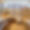 Chalet Maria Schnee