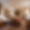 Chalet Maria Schnee
