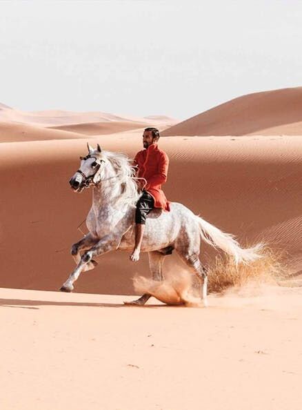 Equesterian show Marrakech