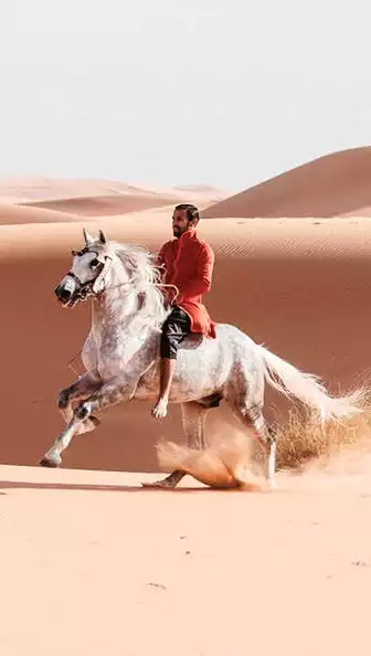 Equesterian show Marrakech