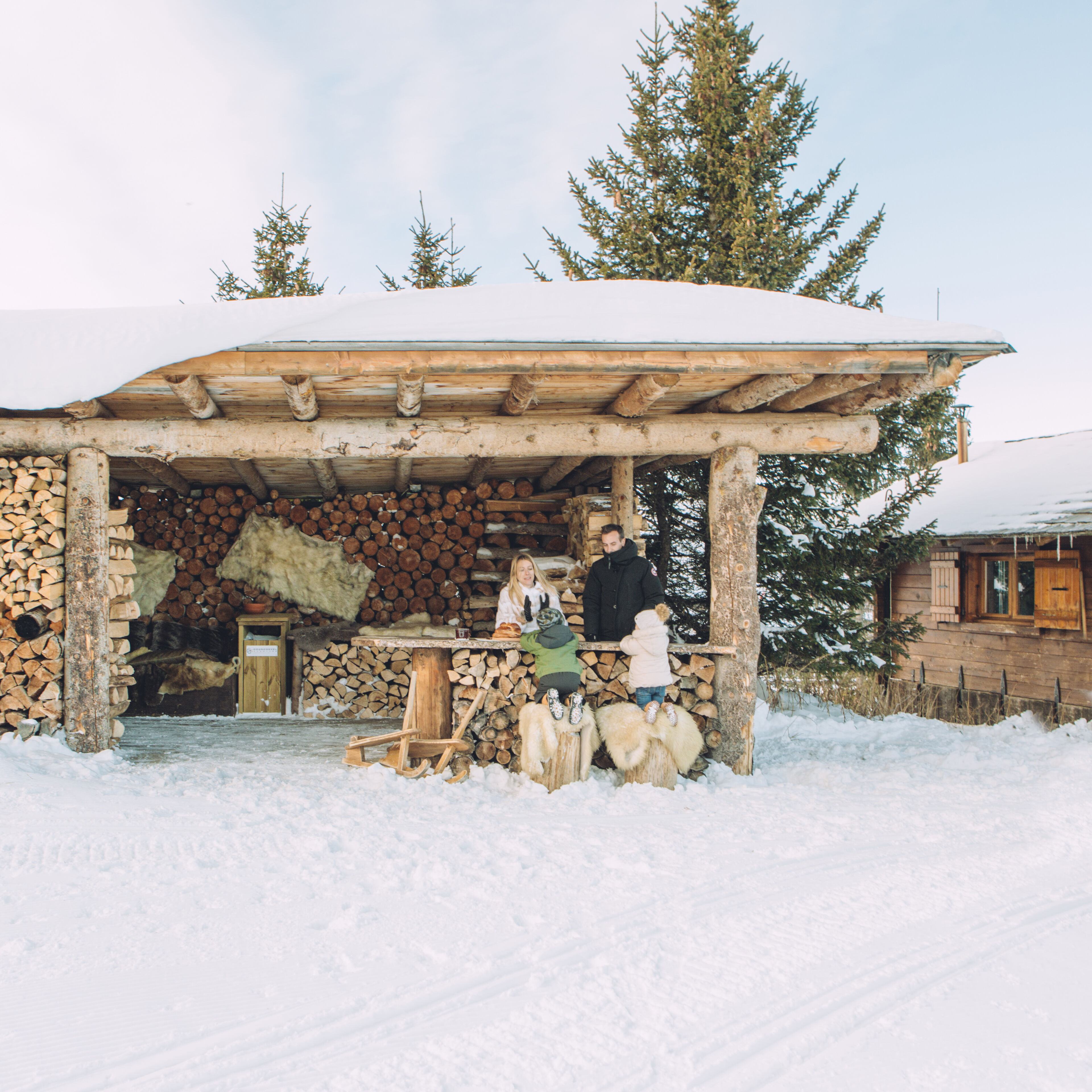 Locations chalets luxe Alpes Françaises