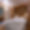 Chalet Carat