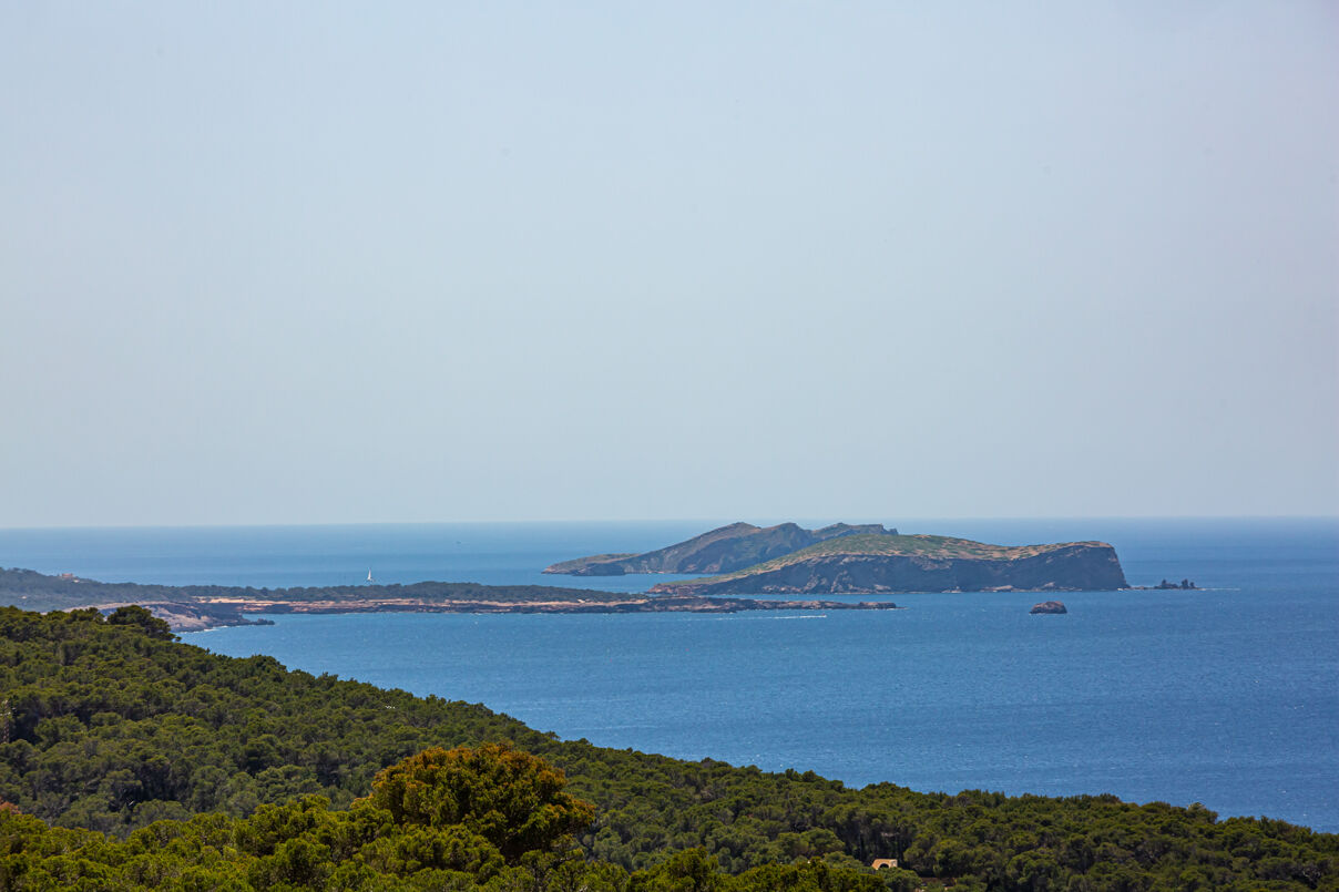 Villa Linne