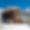 Chalet Aline