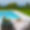 Villa Aleni