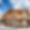 Chalet Machapuchare