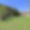 Domaine Aciana