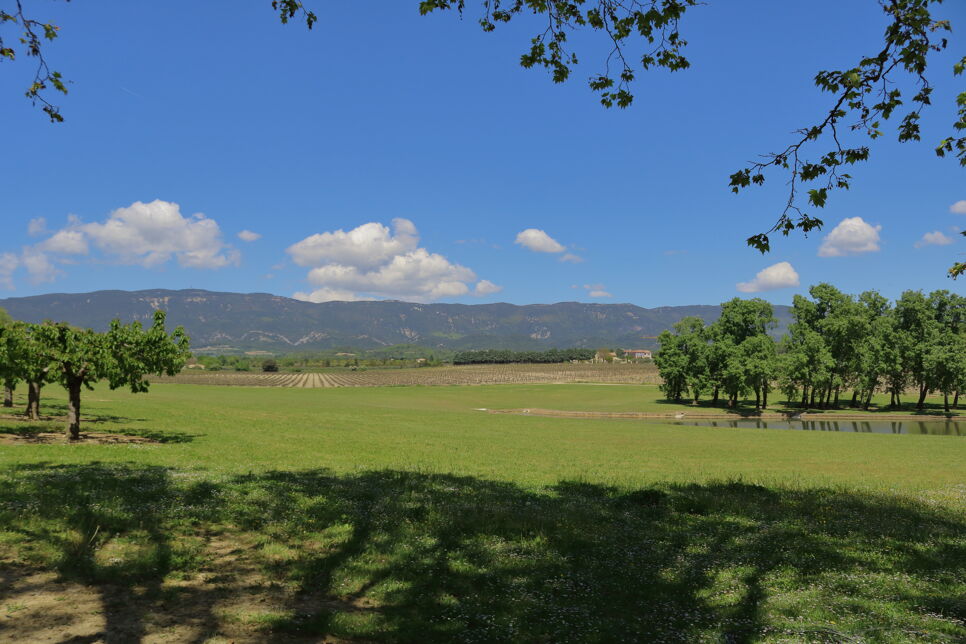 Domaine Aciana