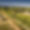 Domaine Aciana