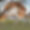 Chalet des Soeurs