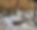 Chalet Norel