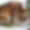 Chalet Saint-James