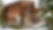 Chalet Saint-James