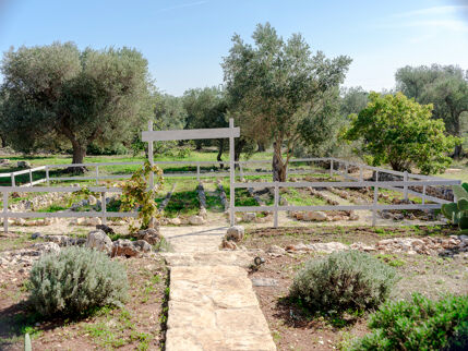 Masseria delle Arti