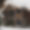 Chalet Infinite
