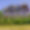 Domaine aux Biches