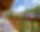 Chalet Oxalis
