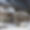 Chalet Rive Gauche