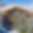 Chalet les Sorbiers