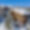 Chalet les Sorbiers