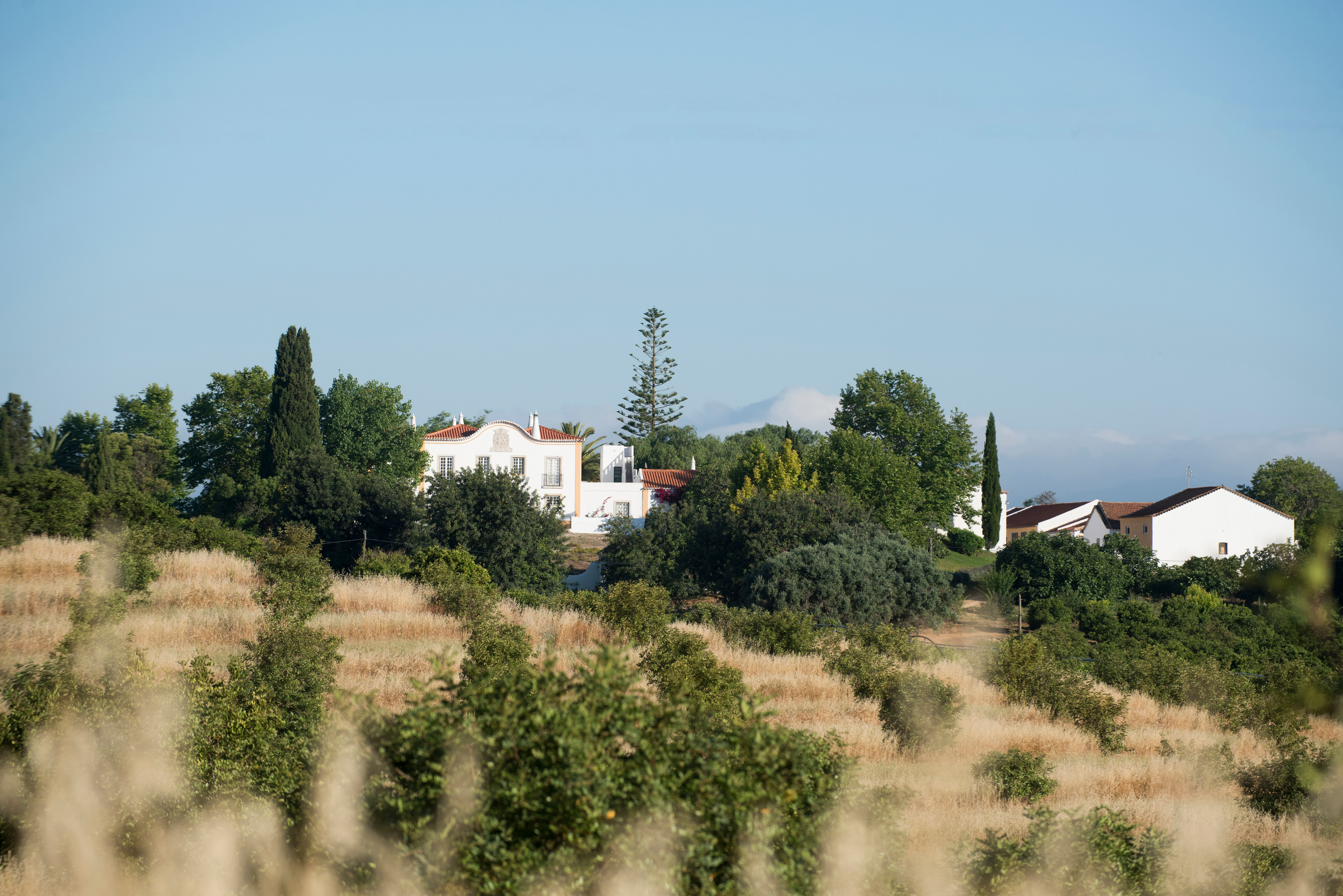 Quinta da Sarrea