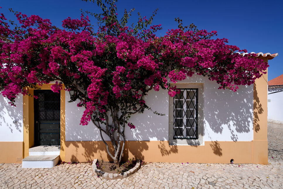 Quinta da Sarrea