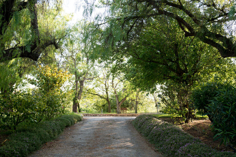 Quinta da Sarrea