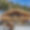 Chalet Saphir