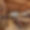 Chalet Saphir