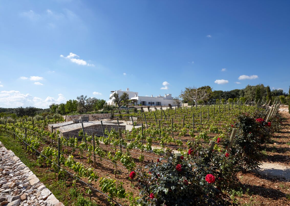 Masseria Miria