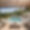 Villa Finca Magnifica