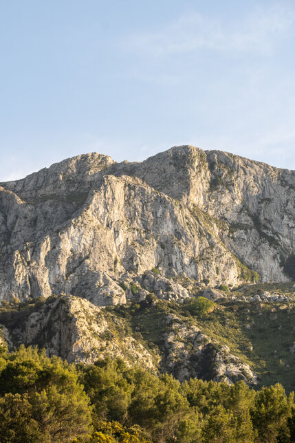 Villa Finca Magnifica