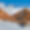 Chalet Dufermont