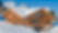 Chalet Dufermont